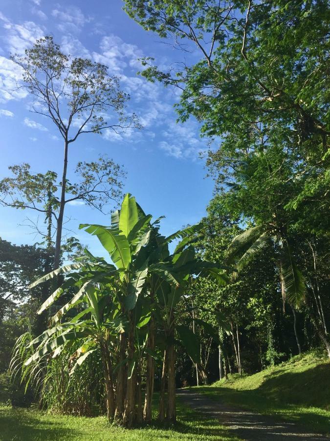 Hotel Los Cielos Del Caribe กาอุยตา ภายนอก รูปภาพ